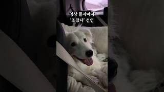 엄마 비 맞게 내버려두는 아이...