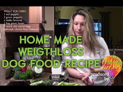 home-made-weightloss-food-for-dogs---healthy-hot-air-episode