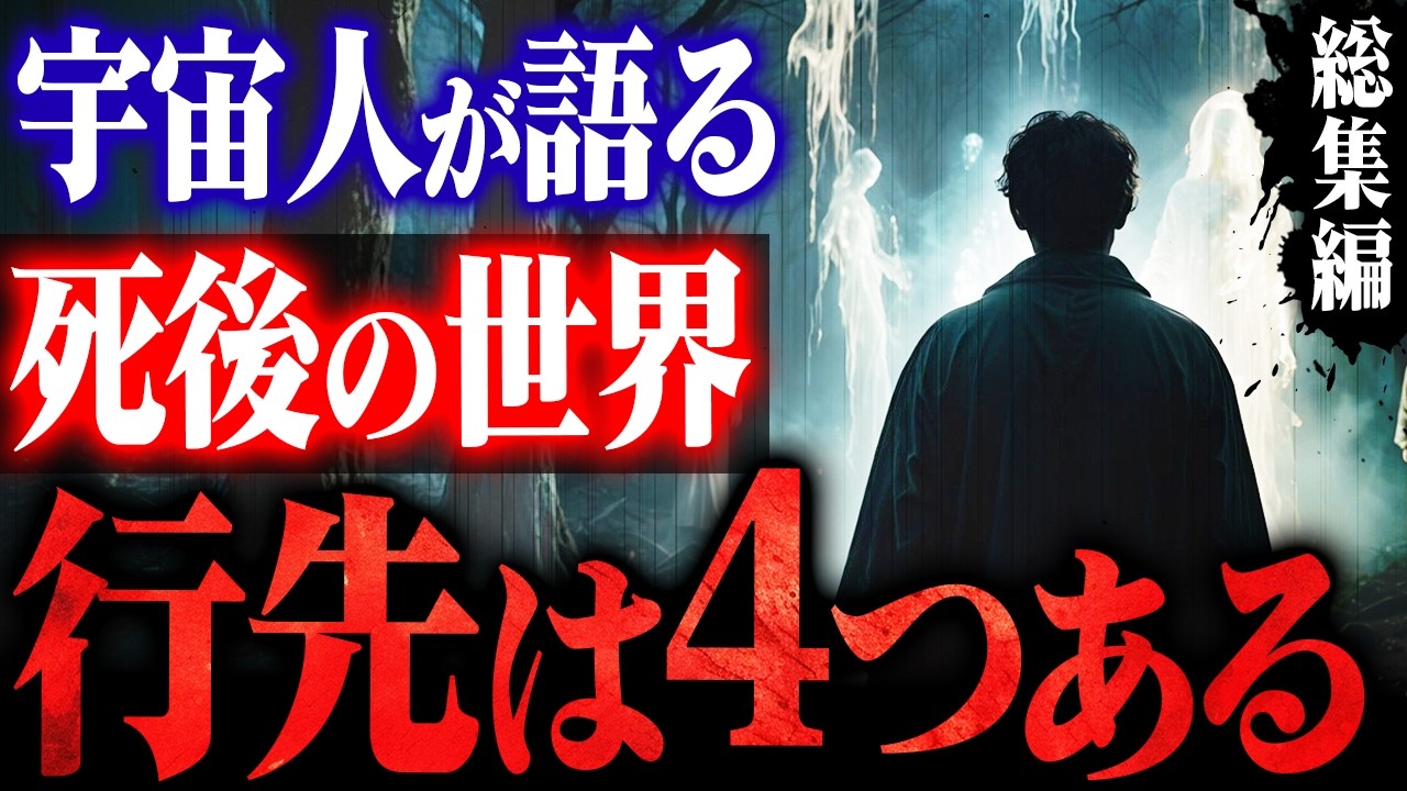 【総集編】日本の全臨死体験者が語る「死後に行く先」- 戻れと告げる存在の正体