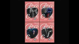 PEACH BAND - SKIPPING STONE - NISHA ALBUM - 061 MEDAN HARDCORE - WOMEN HARDCORE - PLAYLIST