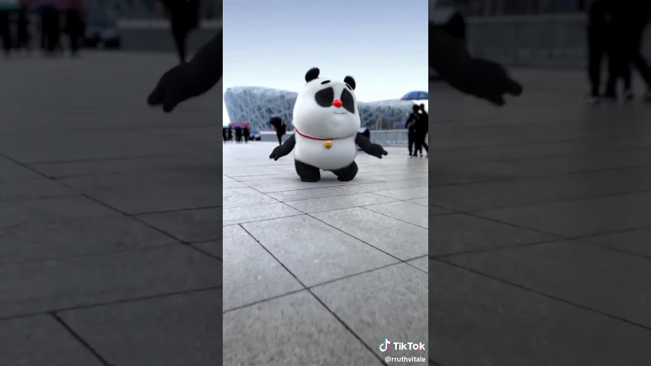 Панда танцует видео. Панда из тик тока. Пандочка из тик тока. Панда танцует. Панда танцует тик ток.