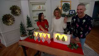 Mr. Christmas Set of 2 Nostalgic Ceramic Tree Night Lights on QVC