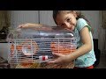 Lina'ya Hamster Aldık Çok Sevindi  İşte  Evimizin Yeni Üyeleri | Eğlenceli Çocuk Videosu