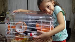 İşte Evimizin Yeni Üyeleri Hamster Larımız Eğlenceli Çocuk Videosu