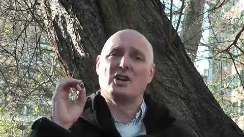 Ken Way   Sports Performance Psychologist on Heartmath and biofeedback technology in football