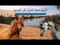 تاريخ الخيل منذ الوجود | معلومات تصدمك