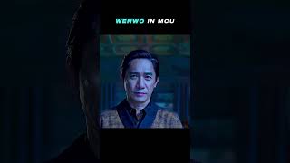 Wenwu Then Vs Now