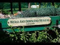 Weald and downland living museum 2021