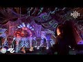 Ace ventura  psyfi festival 2019 full set movie