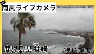 ウェザーニュース - 【雨風ライブカメラ】鹿児島県　枕崎市より/2024年5月12日(日)