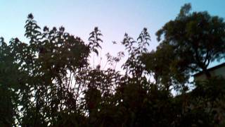 Jet Fly Over & Goodyear Blimp, Spring Valley, CA