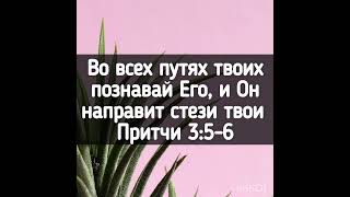 Я НЕ МОГУ, ИИСУС, ПОЗВОЛИТЬ...  Читает Новожилова З.Г.  Автор Игорь Плохатнюк.