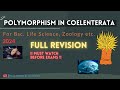 Polymorphism in Coelenterata. Bsc. Life science. Full lecture 2024. Delhi/other University.