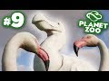 The Protector of the Flamingi's!!! - Planet Zoo | Ep9 HD