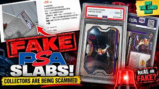 FAKE PSA SLABS ARE FLOODING THE HOBBY! 🚨 | CAN YOU TELL THE DIFFERENCE