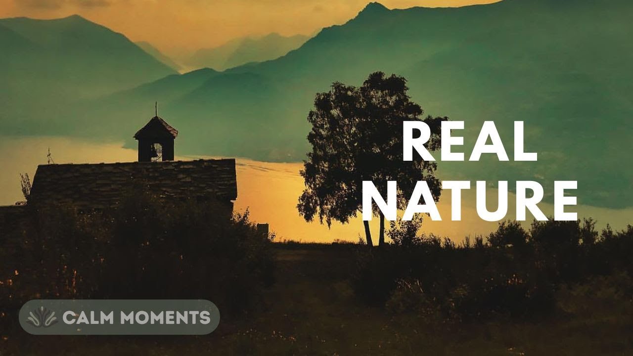 10 Minuti di Pace Reale 🌿 Musica Rilassante e Fotografia Naturalistica