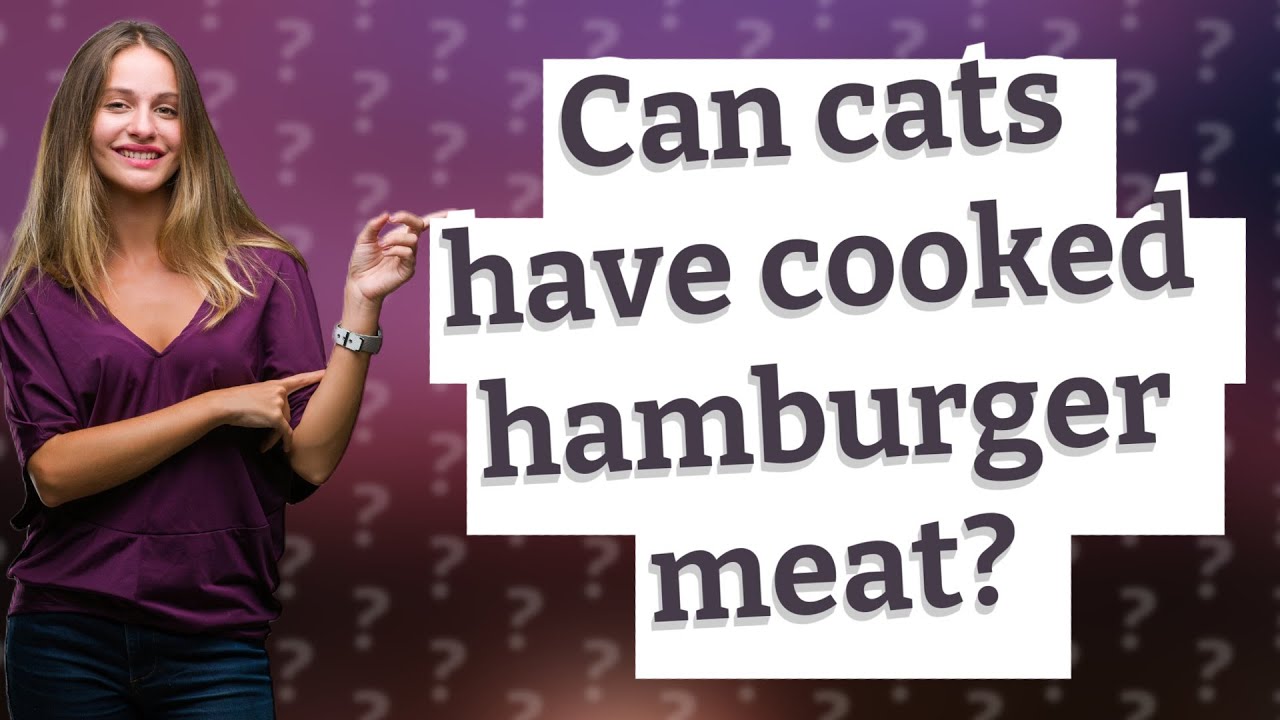 Can Cats Have Cooked Hamburger Meat YouTube can-cats-have-cooked-hamburger-meat-youtube
