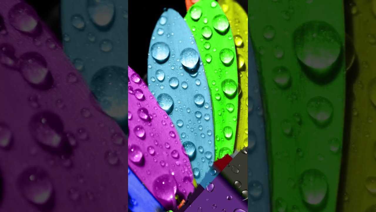 Hd wallpapers for mobile 🫶🏼 subscribe or Comment must 💕 #naturelovers #hdwallpapers #beautifulscene 