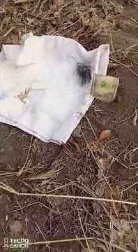 The Power of Sandawana