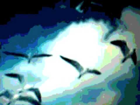 Cocteau Twins -  Wolf in the Breast