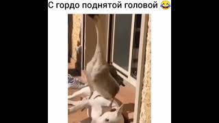 всё не по чём 😀😀