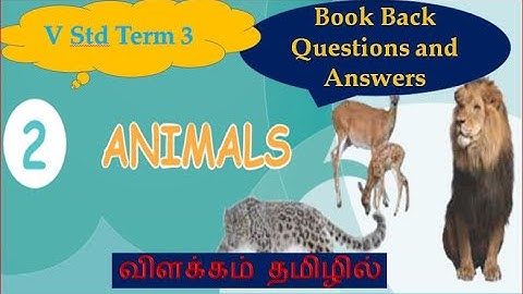 2.Animals  Book Back Questions and Answers  5th  Std Term 3 Explained in Tamil