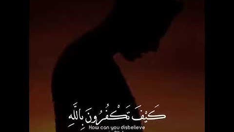 اجمل صوت شيخ بتلاوة القرأن |ايات قصيرة مؤثرة| القران الكريم