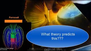 Demystifying the Misconceptions : A Clarification 2