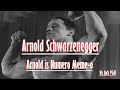 Arnold Schwarzenegger - Arnold is Numero Meme-o