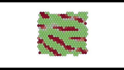Delta-Notch signaling - Stripe-like patterns in tissue