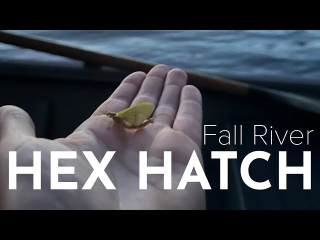 Hex Hatch is NOW, Fall River