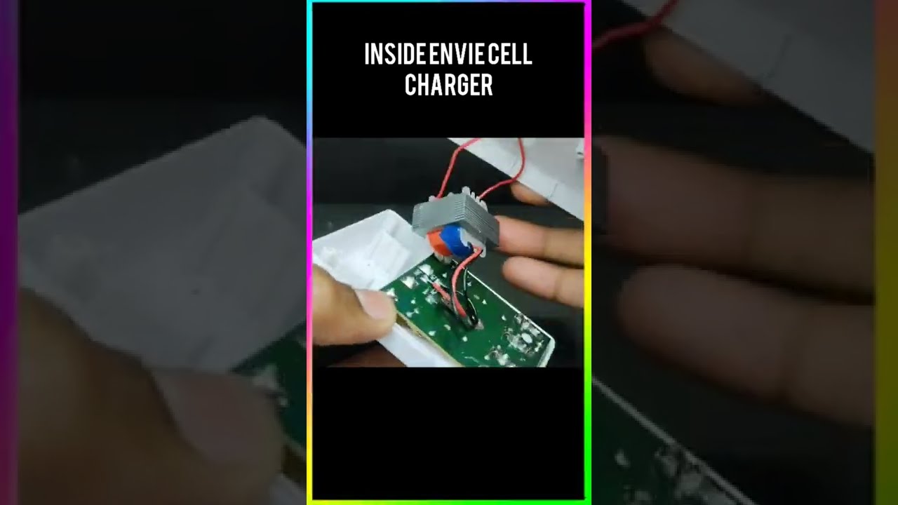 What Inside Envie BEECLE ECR 20 Cell Charger Look Of Shorts