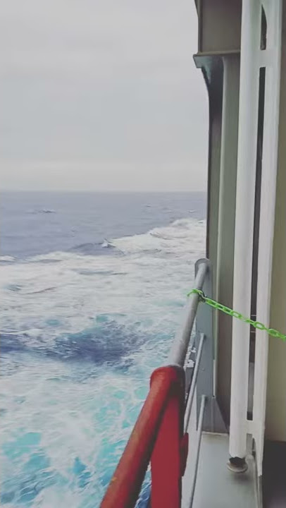 MSC Joanna
