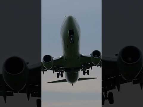 #伊丹空港 #千里川土手 #飛行機 - FX30 + SEL2470Z