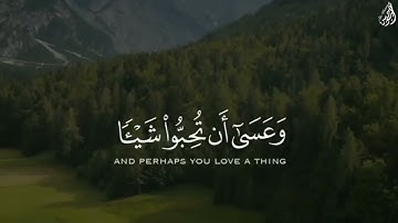 وَعَسَىٰ أَن تَكْرهُوا شَيئًا وَهُوَ خَيْرٌ لَّكُمْ ۖ - (آيات من سورة البقرة) - القارئ إسلام صبحي