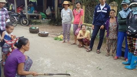 Rắn lục đuôi đỏ bò vào nhà, tấn công người ở Quảng Nam