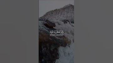 سورة مريم 🌿القارئ ياسر الزيلعي 🌧️ارح قلبك.