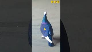 #00001