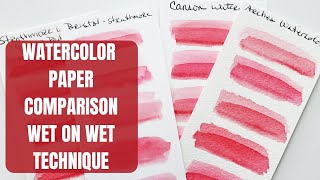Watercolor Paper Comparison Wet on Wet
