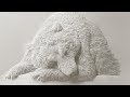 Believe it or not these animals are made entirely out of paper