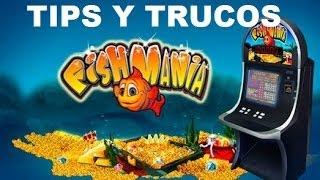 FISHMANIA TIPS Y TRUCOS PARA BINGO ELECTRONICO CASINOS GANALES