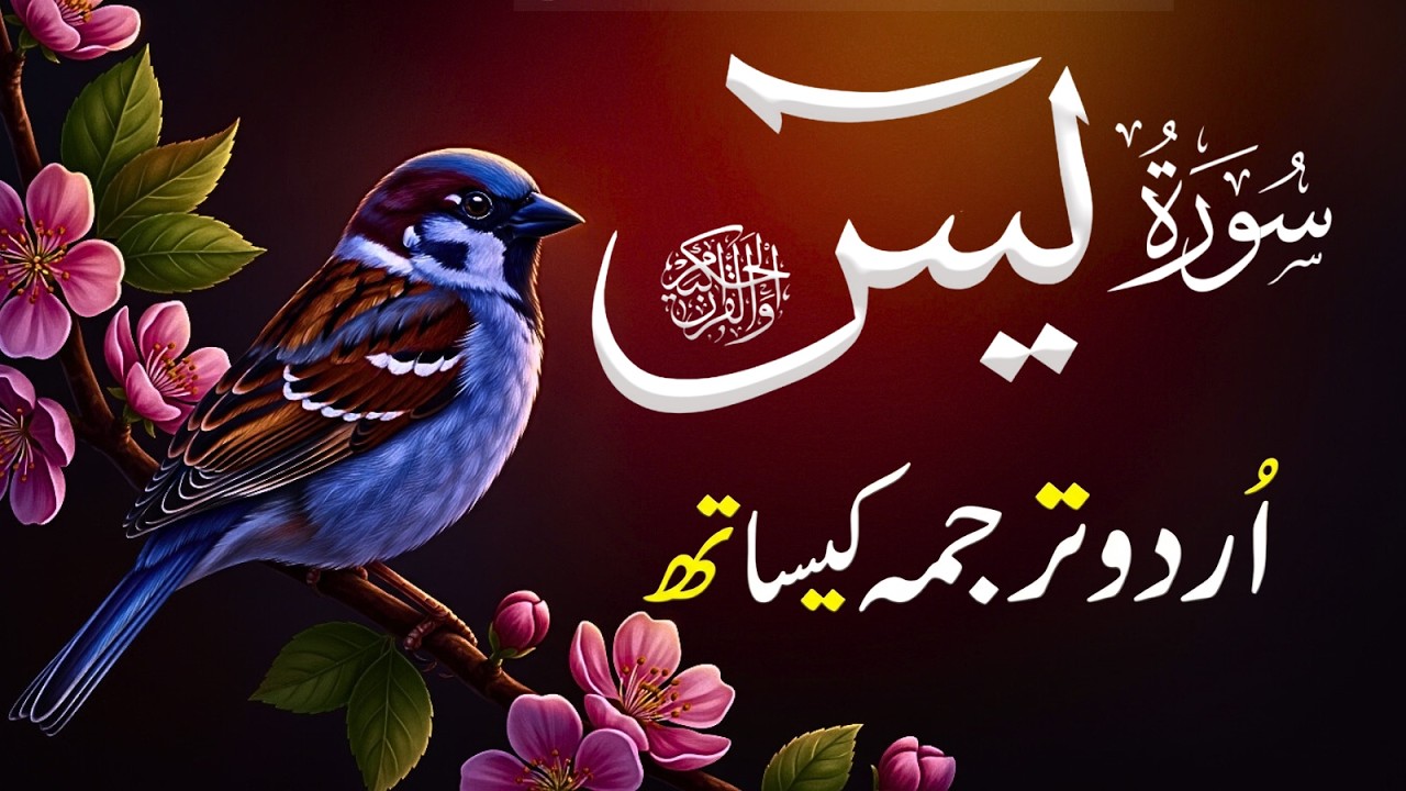 Surah Yasin | Full Recitation With Urdu Trnslation  |سورہ یسین | Ep-011