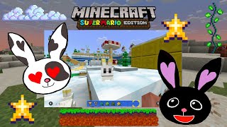【マインクラフト】無料アドオンのスーパーマリオエディションで遊んでみよう！初心者向け！マイクラ！スイッチ版 screenshot 4