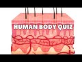 Human body quiz  do you know these facts