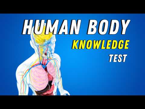 Human Body Knowledge
