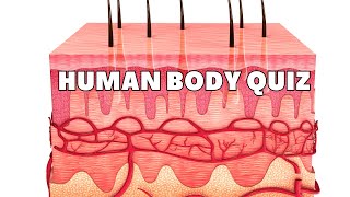 Human Body Quiz  Do you know these facts?