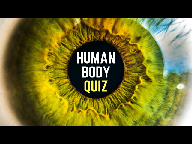 Human Body Quiz - Do you know these facts? class=