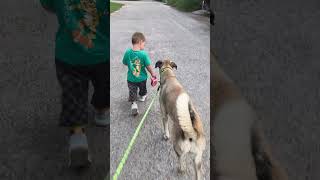 Dumanı Gezdirmeye Stajyer... Resimi