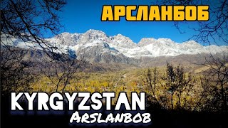 Arslanbob, largest wallnut forest | Kyrgyzstan wonders | Откуда грецкие орехи? Арсланбоб, Кыргызстан