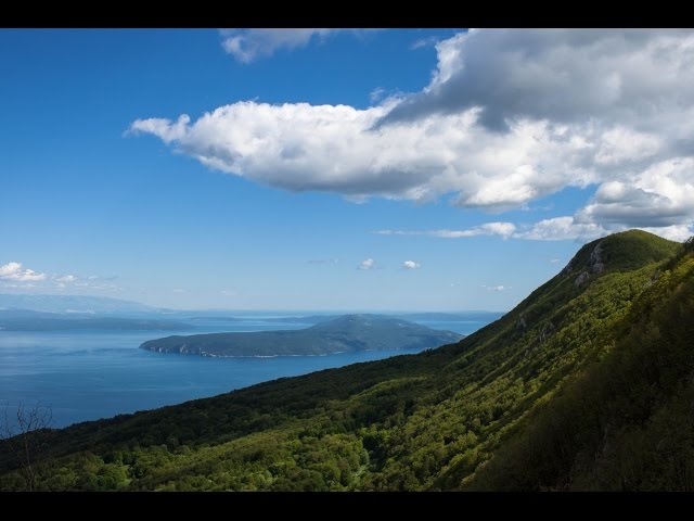 Dental Clinic Smile commercial